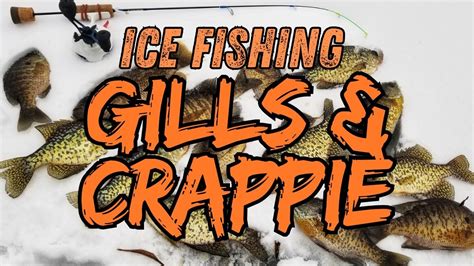 Ice Fishing Crappies & Gills .